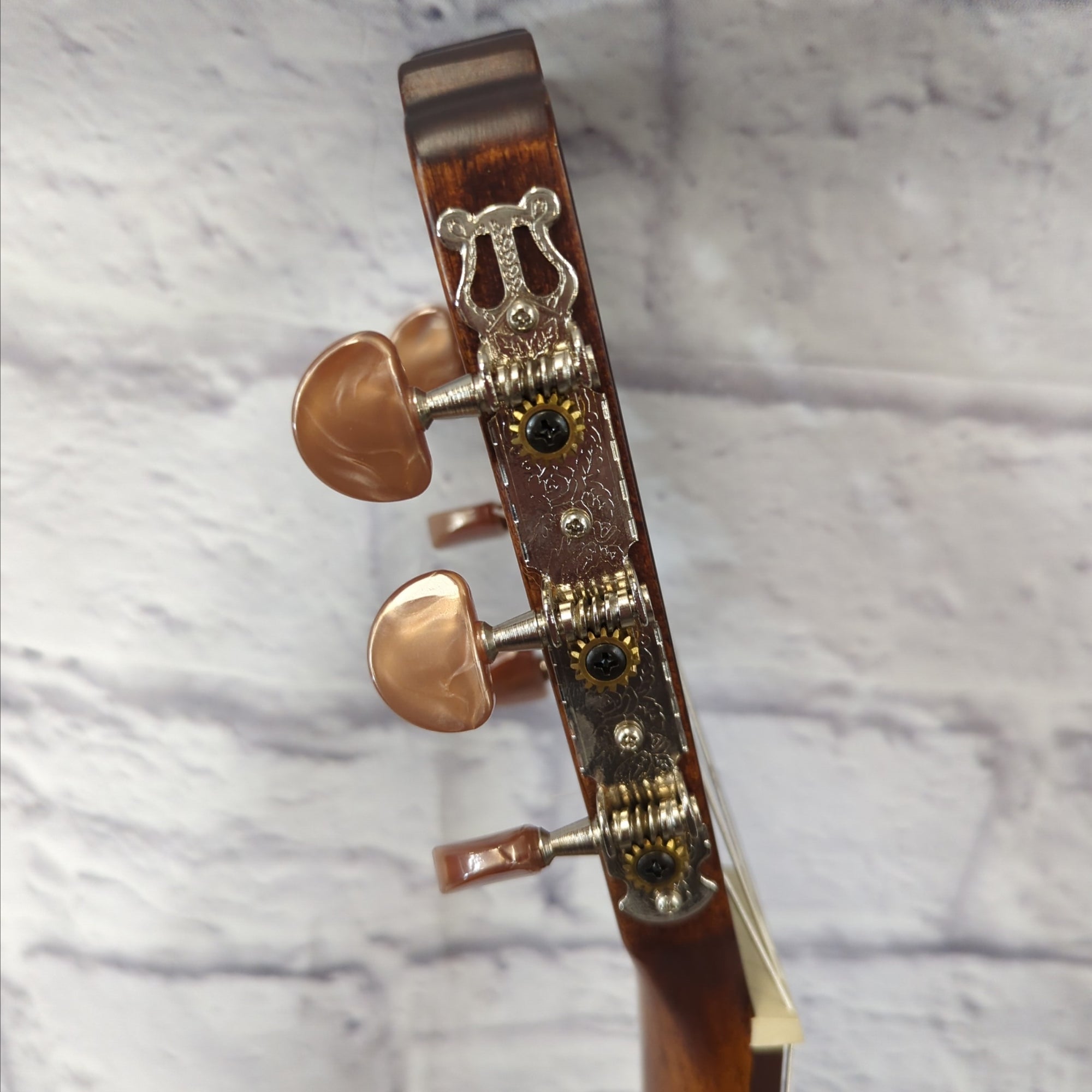 Cort AC12 Nylon Classical Acoustic