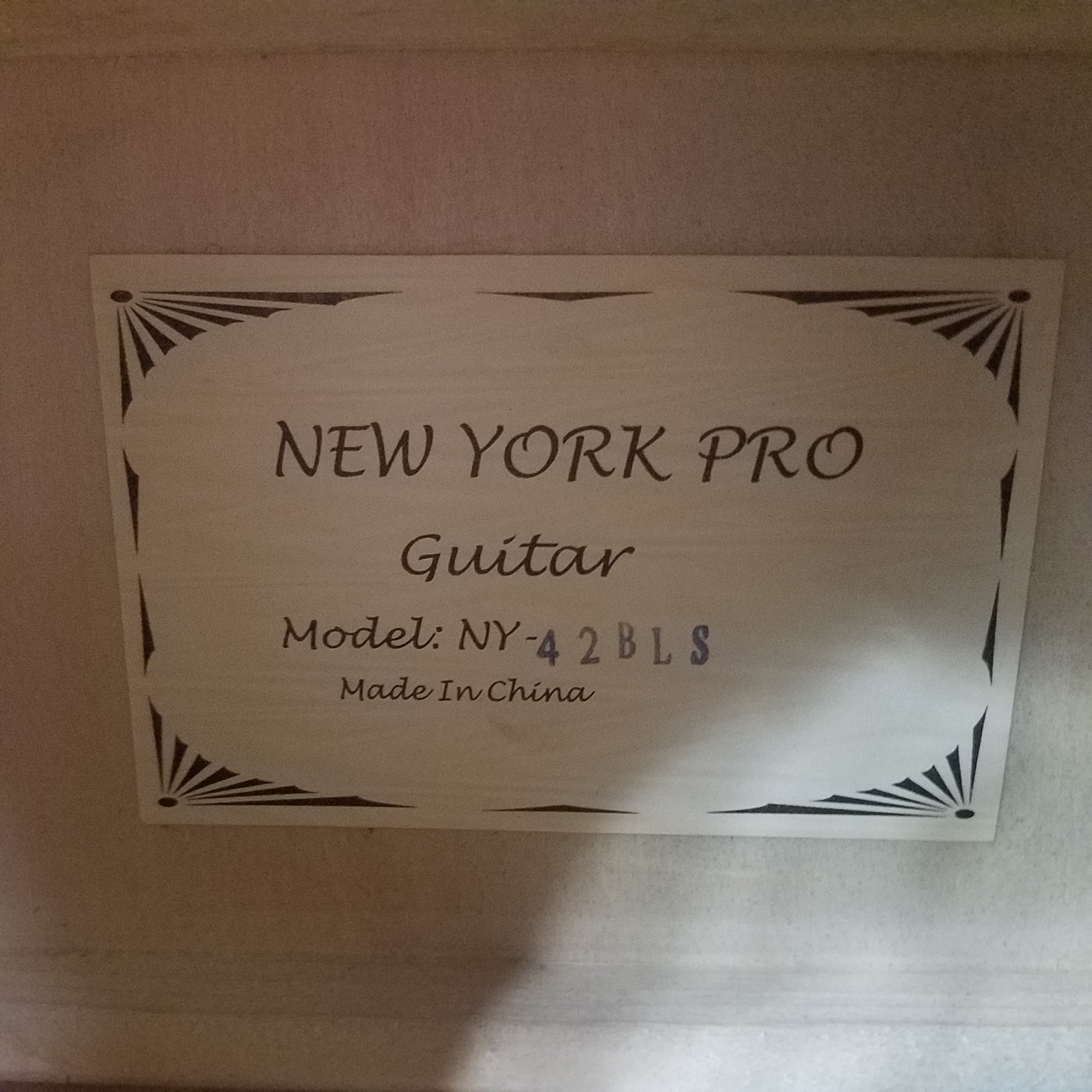 New York Pro 42BLS Acoustic Guitar