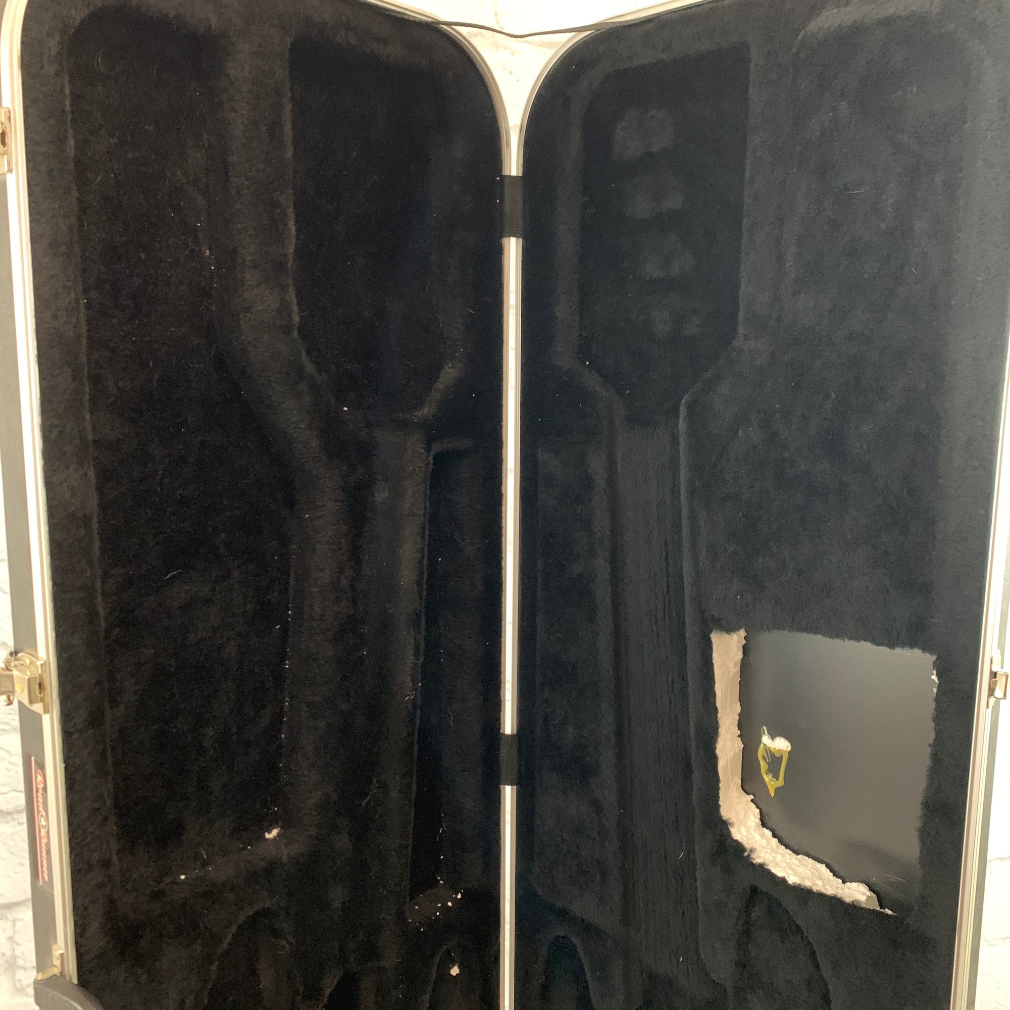 Road Runner Bass Case Hard Case