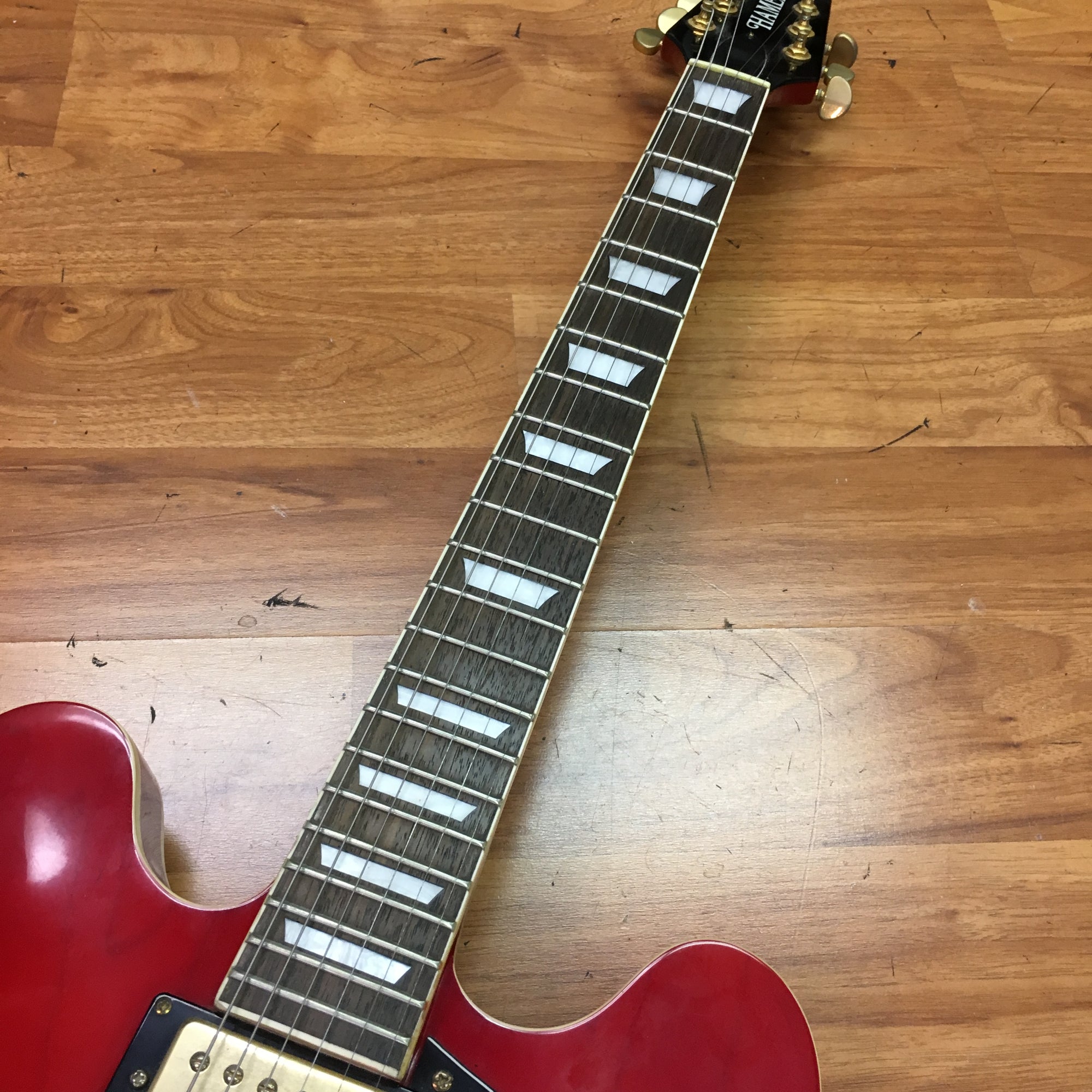 Hamer Ecotone Semi Hollow