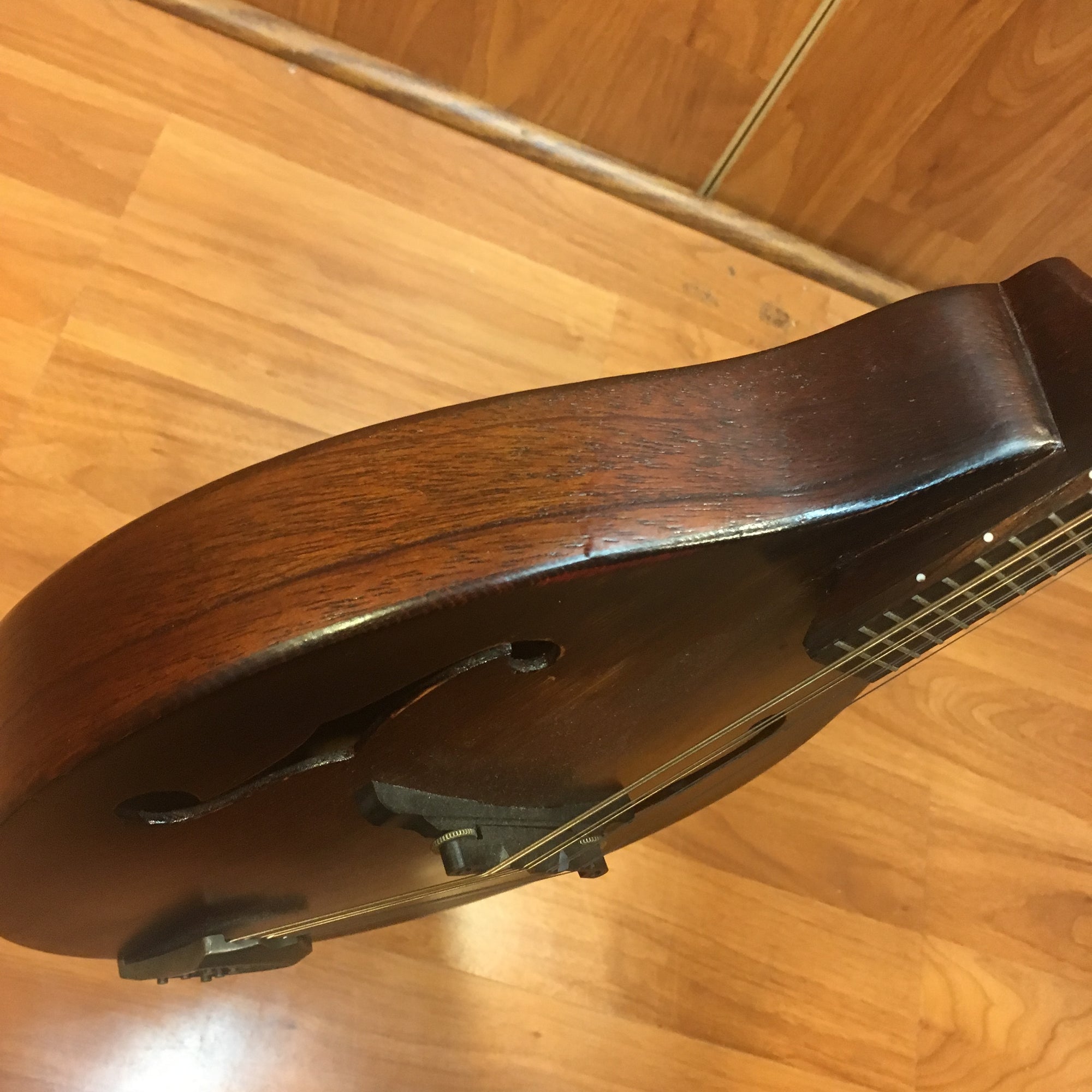 Morgan Monroe Mdam 300 Mandolin